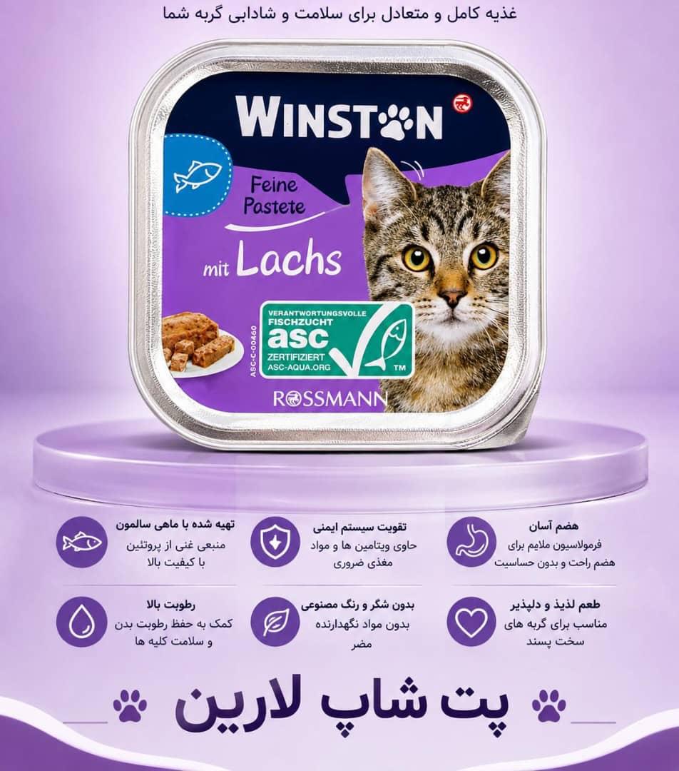 ووم گربه ۱۰۰گرمی وینستون با طعم سالمون