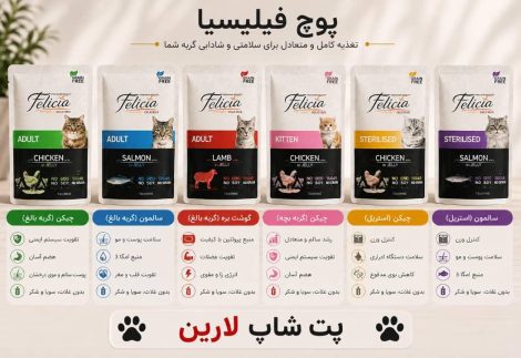 پوچ گربه ۸۵گرمی فلیسیا در چند طعم